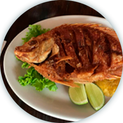 Ruta experiencia culinaria