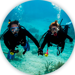 Ruta buceo expertos y principiantes