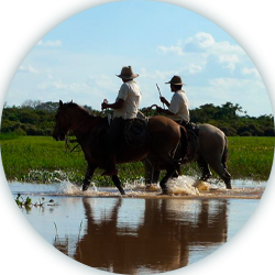 Ruta trabajo de llano