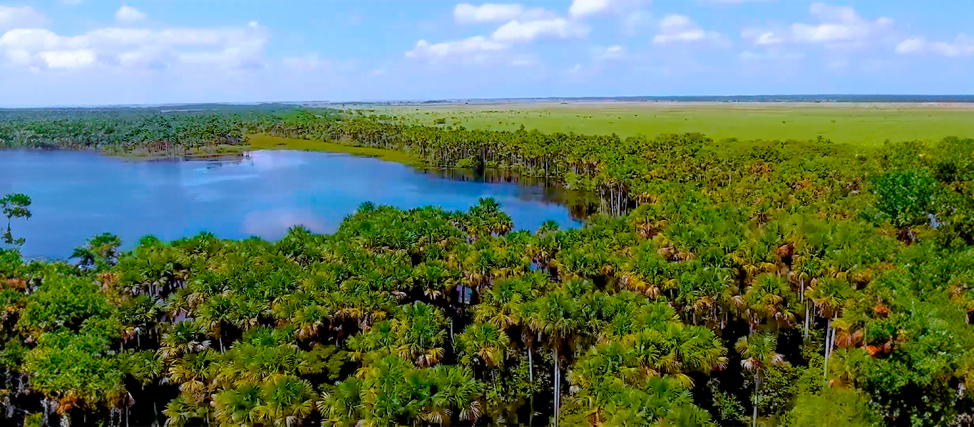 Casanare