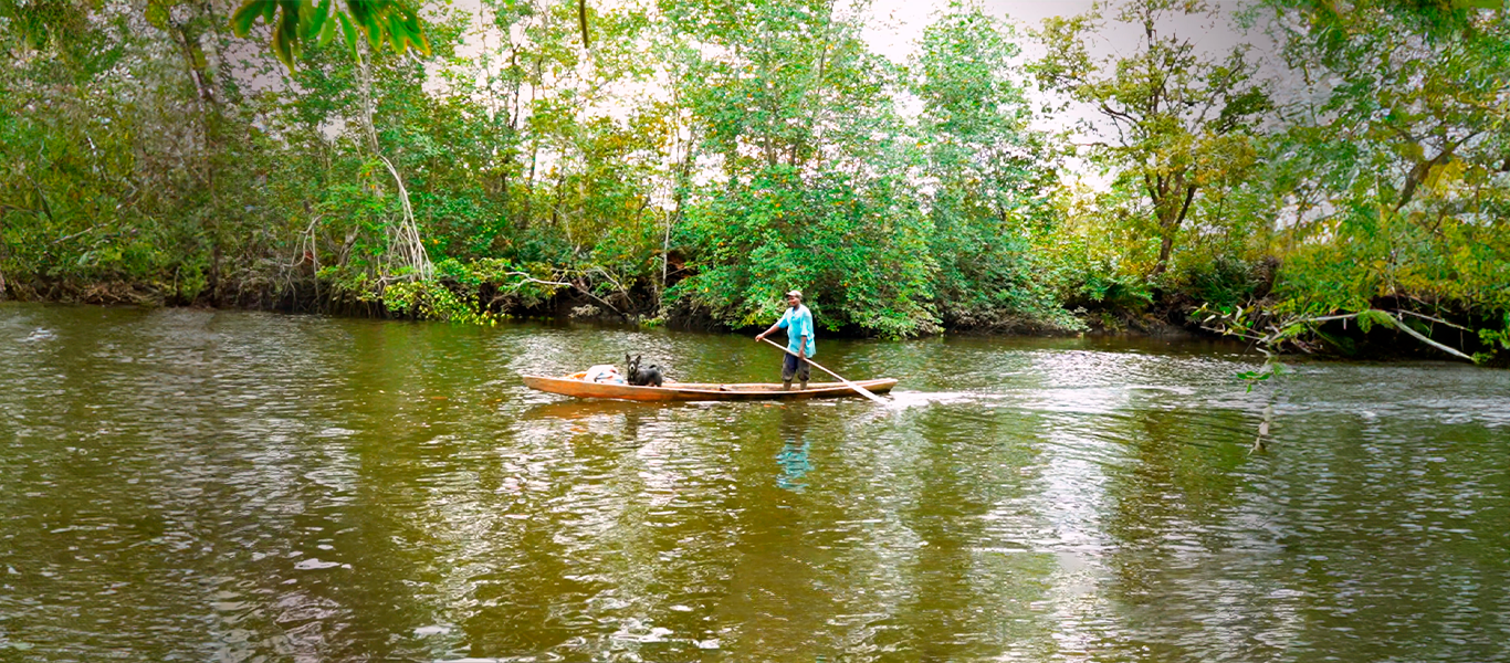 Ruta piangua y manglar
